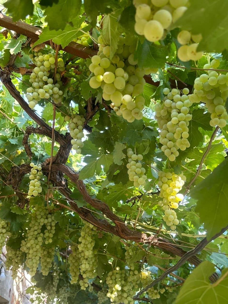 B&B Ruzan Yeghegnadzor Екстериор снимка
